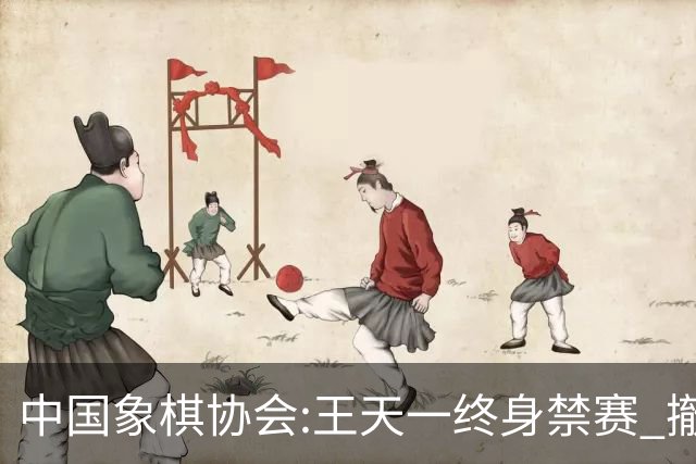 中国象棋协会:王天一终身禁赛 撤销特大等称号